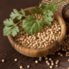 Coriander Seeds - Image 4